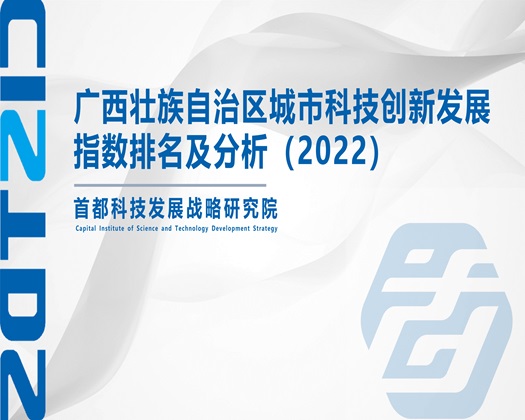 被操了又骚又爽视频【成果发布】广西壮族自治区城市科技创新发展指数排名及分析（2022）